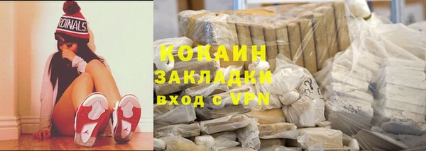 твердый Мегион