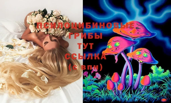 твердый Мегион