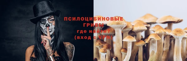 первитин Медногорск