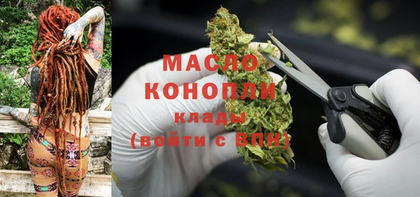 твердый Мегион