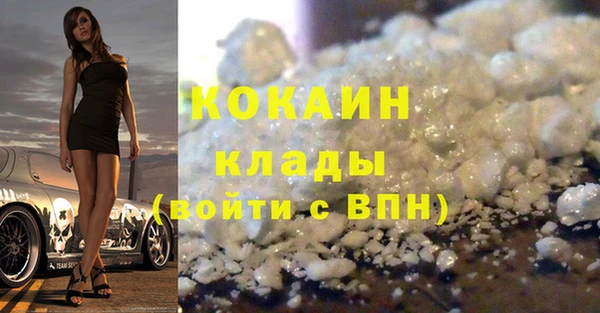 твердый Мегион