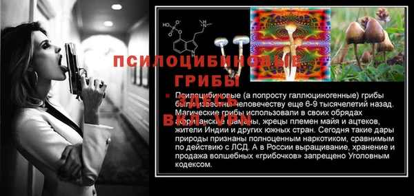 скорость Медвежьегорск