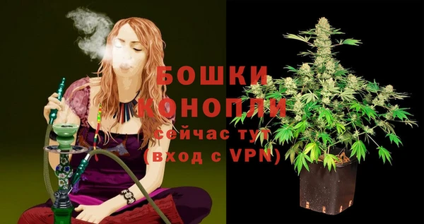 твердый Мегион