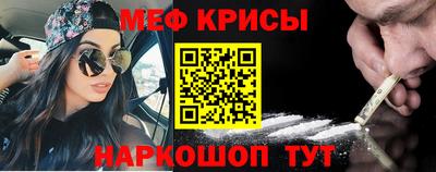 шишки Заволжье