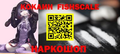 шишки Заволжье