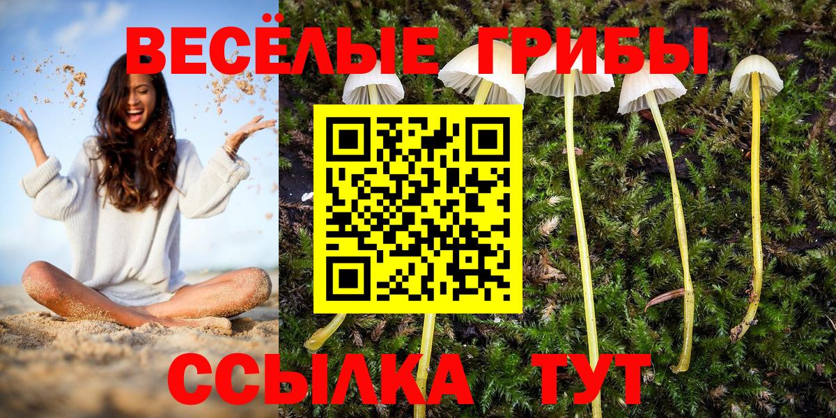 Галлюциногенные грибы GOLDEN TEACHER Павловский Посад