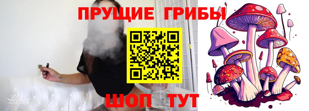 Галлюциногенные грибы GOLDEN TEACHER  Галлюциногенные грибы мицелий  Павловский Посад  Вход с VPN 